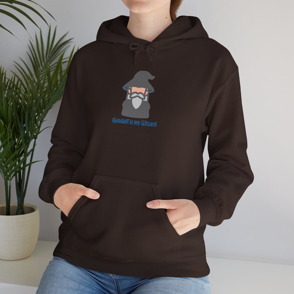 Gandalf Is My Wizard Hoodie — Cute Wizard Graphic Pullover